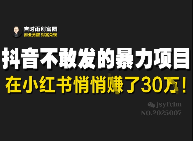 抖音不敢发的暴利项目，在小红书悄悄挣了30W-多多网创