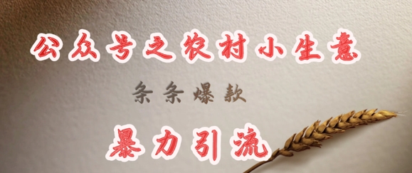 deepseek写农村小项目，条条爆款，暴力引流-多多网创
