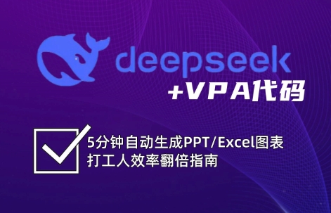 DeepSeek从入门到精通：解锁Excel和VBA高效办公新技能-多多网创