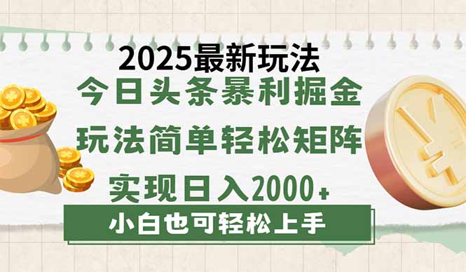 今日头条2025最新玩法，思路简单，复制粘贴，轻松实现矩阵日入2000+-多多网创